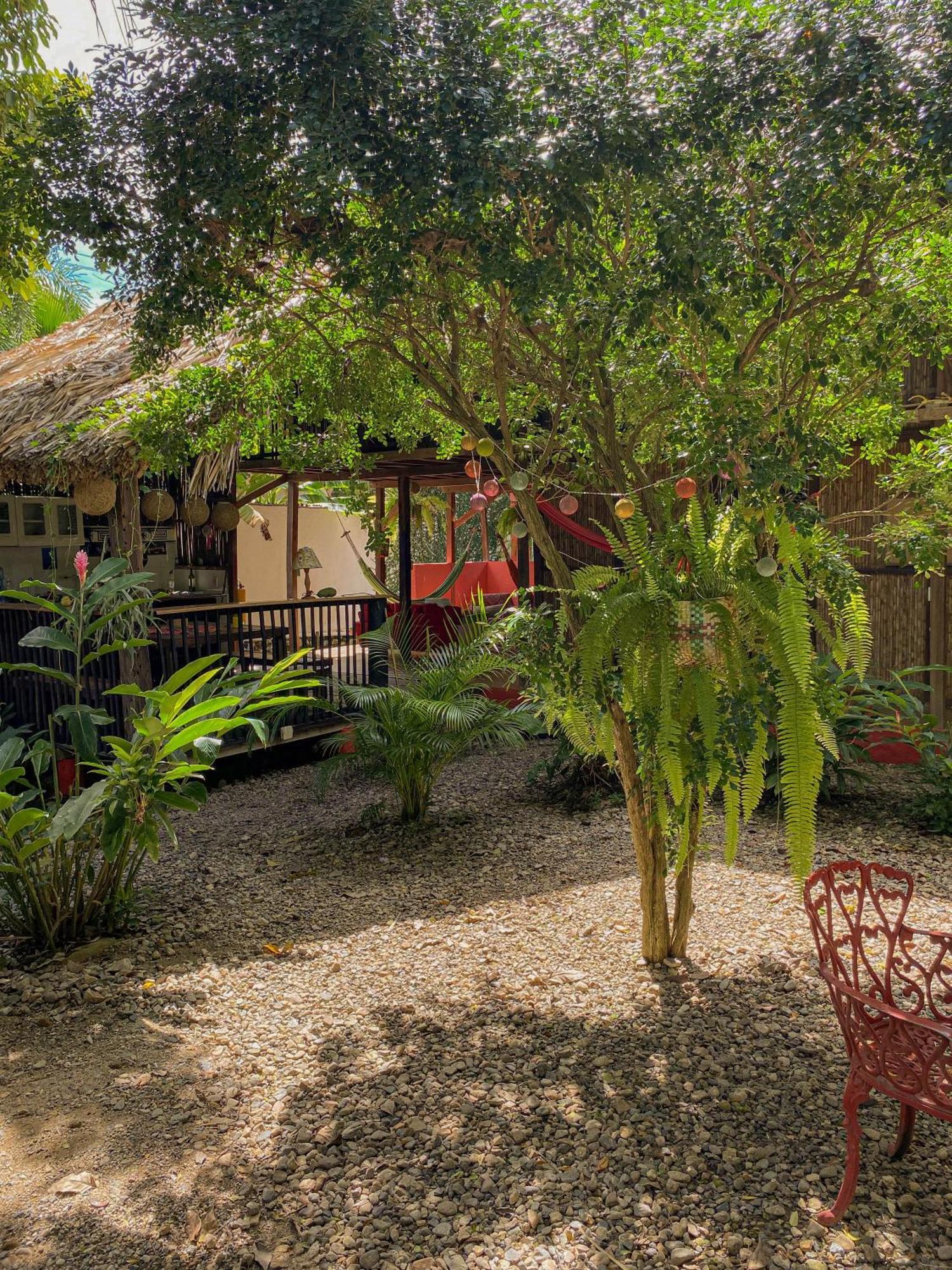 Hostal Zinpar Palomino Eksteriør billede
