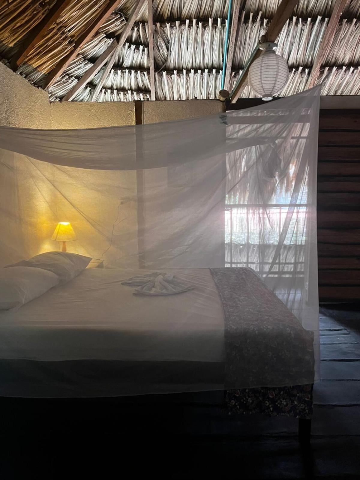 Hostal Zinpar Palomino Eksteriør billede